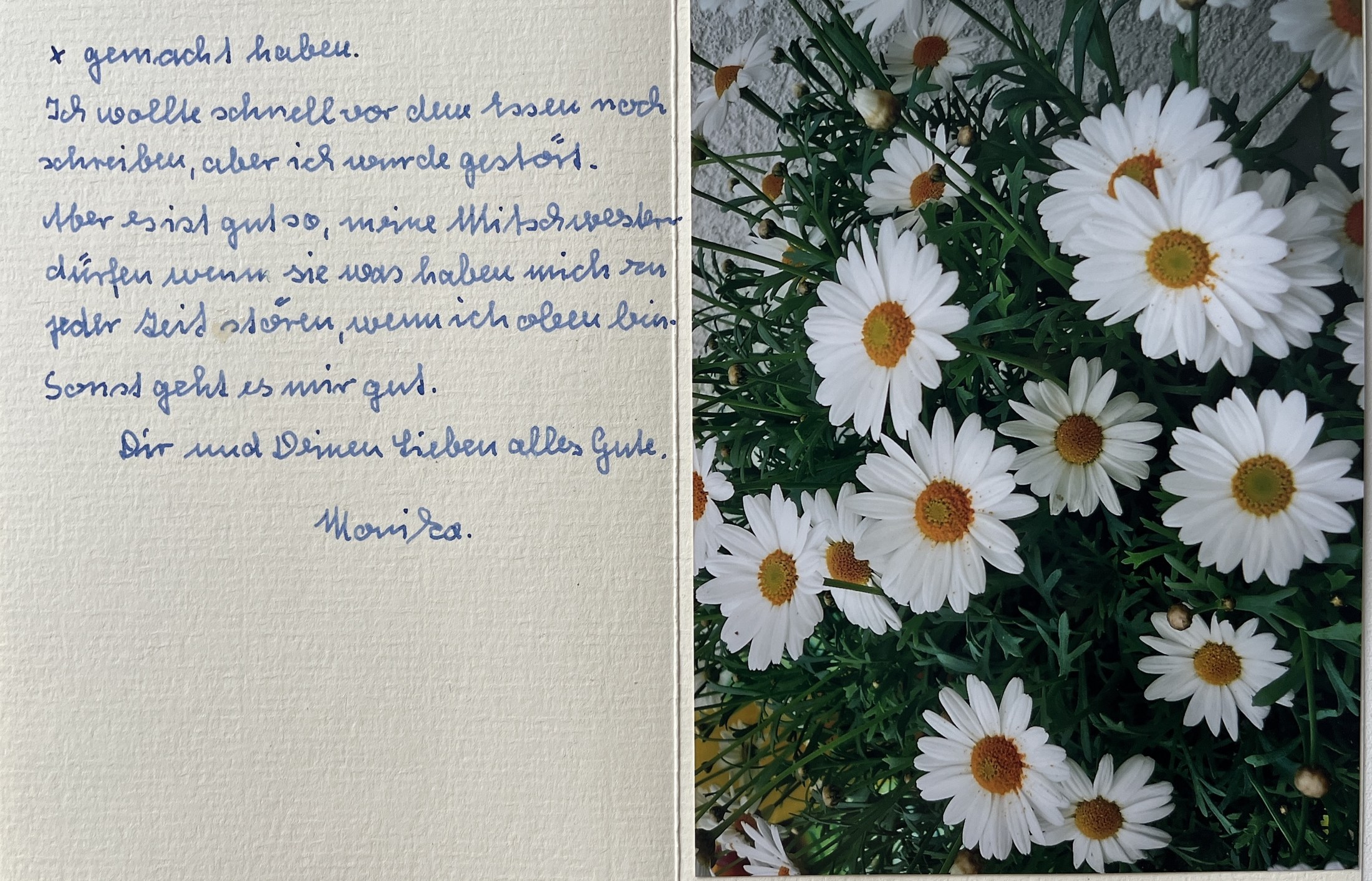Schlussseite mit Gruß, Signatur und eingeklebtem Margeritenfoto