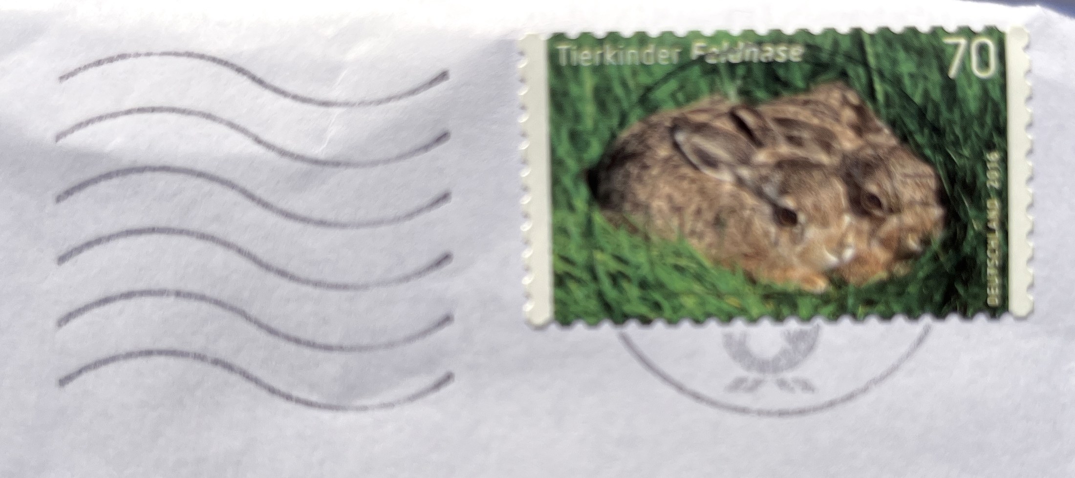 Umschlag: Briefmarke „Tierkinder Feldhase“ zu 70 Cent und Wellenstempel, Juli 2016