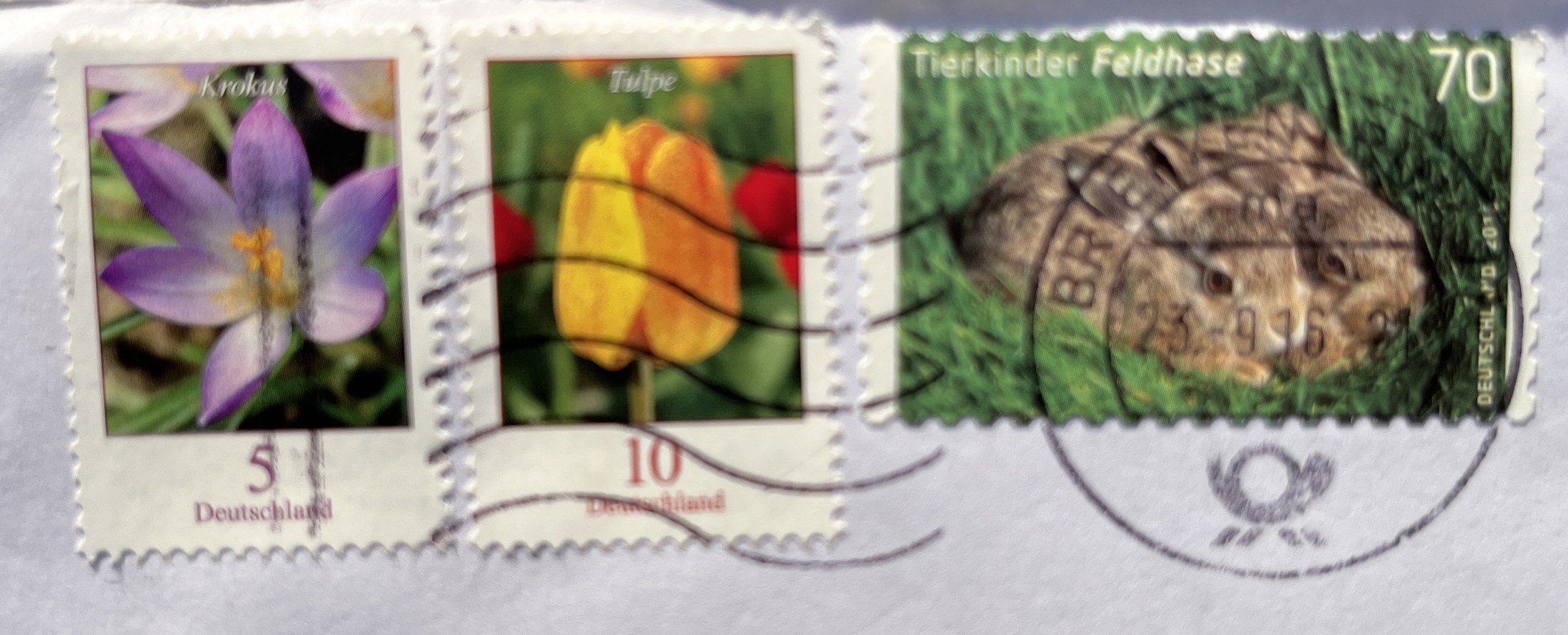 Umschlag: drei Briefmarken (Krokus 5, Tulpe 10, Tierkinder Feldhase 70) und Maschinenstempel vom 23.9.16